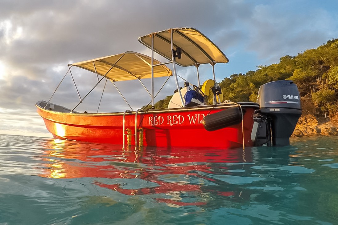 Seacat Discoveries Water Tour Antigua: The Ultimate Marine Adventure