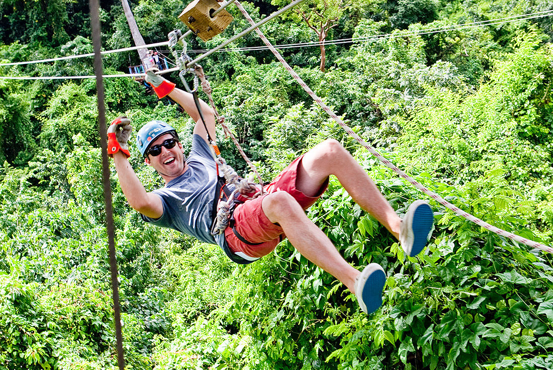 Rainforest canopy