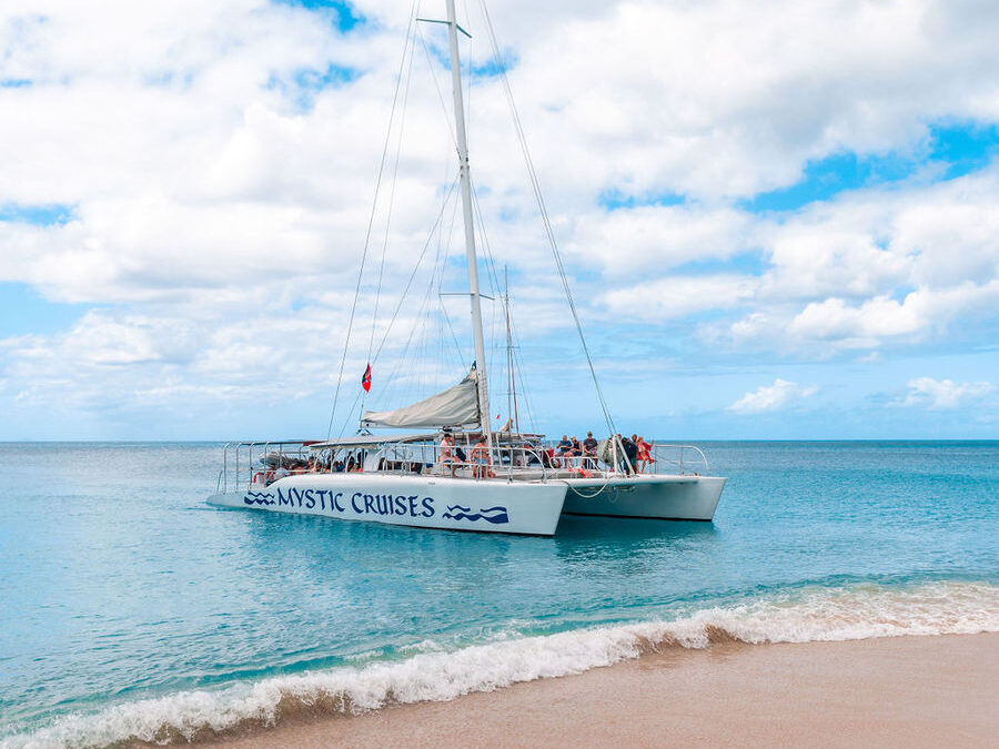 Mystic catamaran sailing elegantly on the crystal blue waters of the Caribbean Sea. An unforgettable adventure.