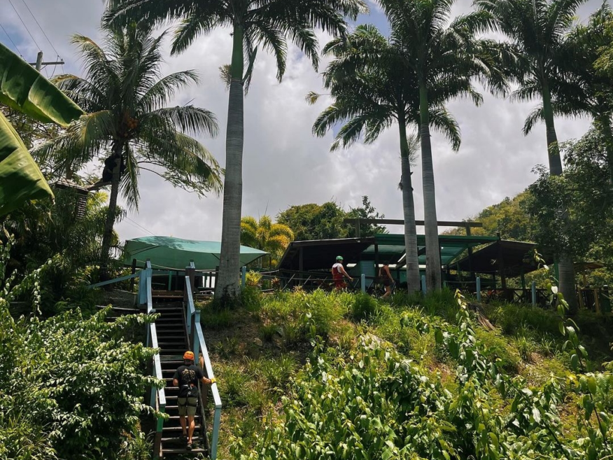 rainforest canopy tour antigua