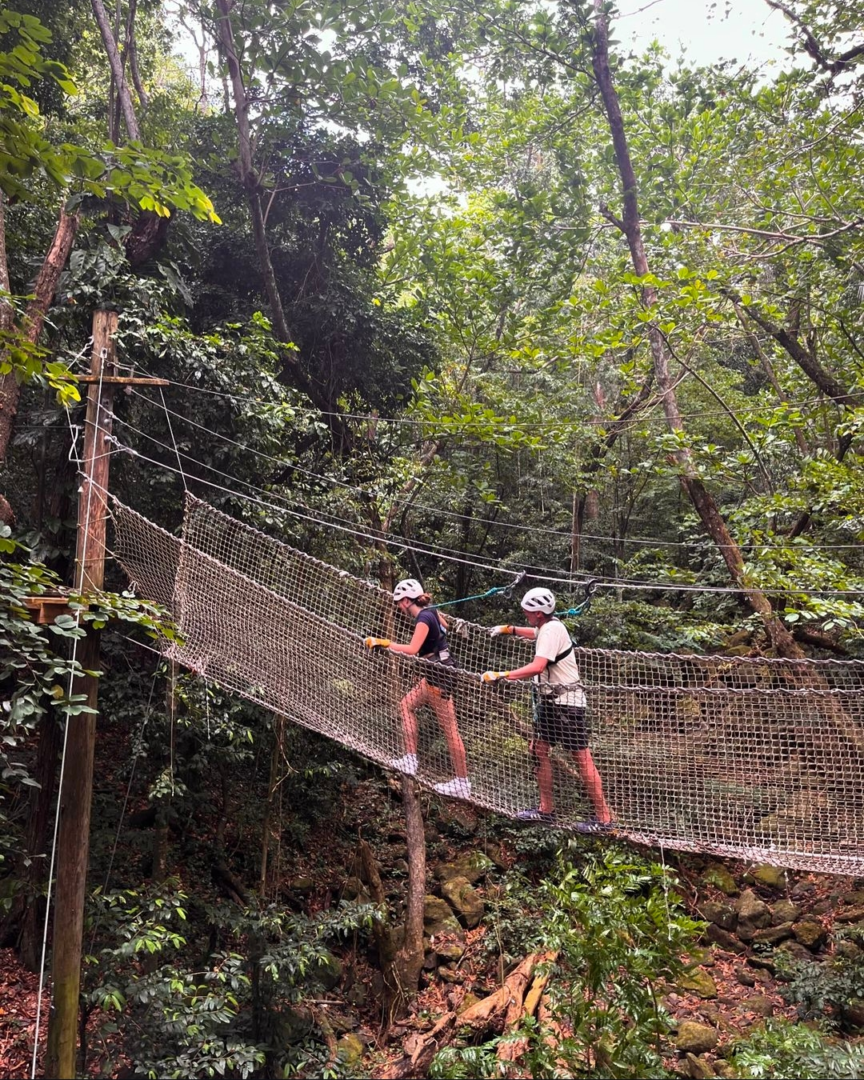 rainforest canopy tour antigua