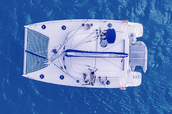 Catch The Cat Resources Cover.jpg